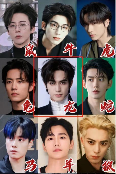 九游娱乐文化：龙系长相最出颜霸？2024龙颜明星大赏(图2)