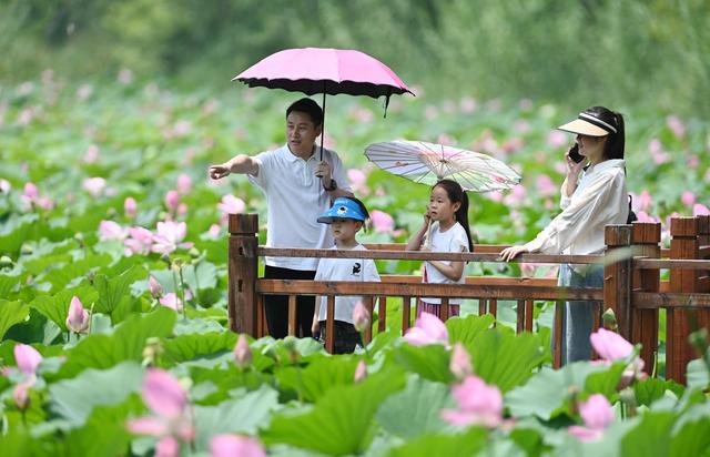 九游娱乐：暑期旅游升温(图4)