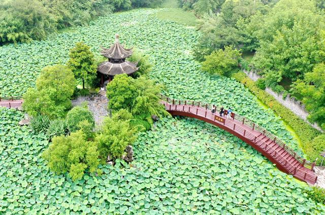 九游娱乐：暑期旅游升温(图7)