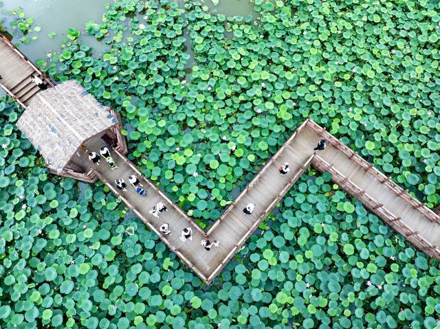 九游娱乐：暑期旅游升温(图12)