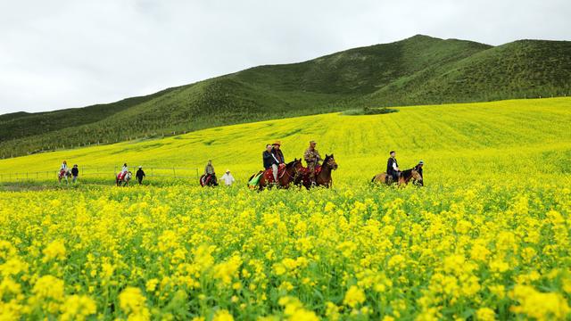九游娱乐：暑期旅游升温(图18)