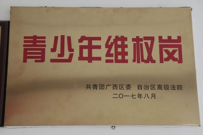 九游娱乐：法润春苗护“未”成长——岑溪法院未成年人保护工作速览【24年第87期】(图6)