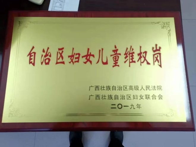九游娱乐：法润春苗护“未”成长——岑溪法院未成年人保护工作速览【24年第87期】(图7)