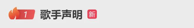 九游娱乐文化：《歌手2024》紧急声明(图2)