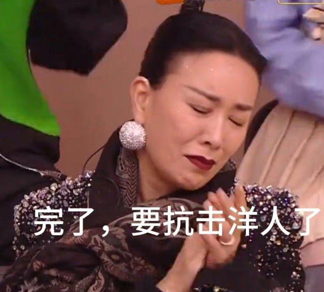《歌手2024》大火网友以那英原型写小说：五旬老太守国门