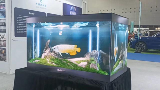 科技赋能影视产业发展洲明科技闪耀2024影博会(图11)