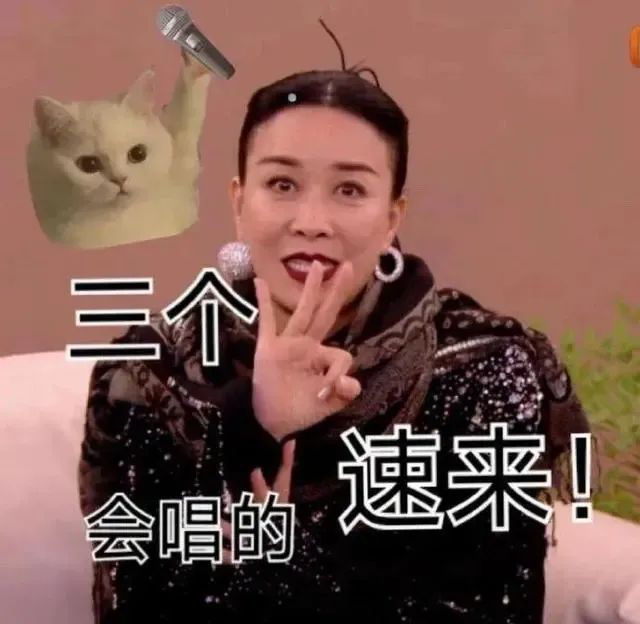《歌手2024》：“救那英”与“救自己”(图3)
