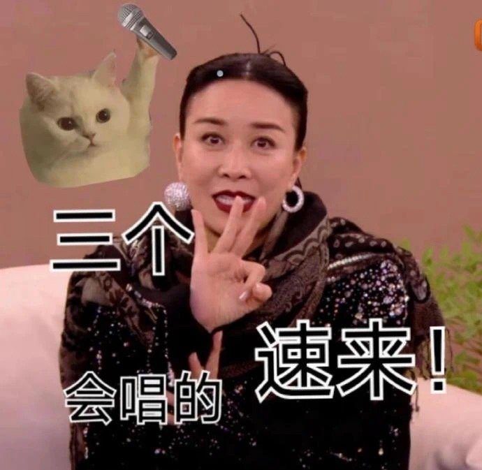 多位歌手申请参加《歌手2024》！“救那英”还是蹭热度