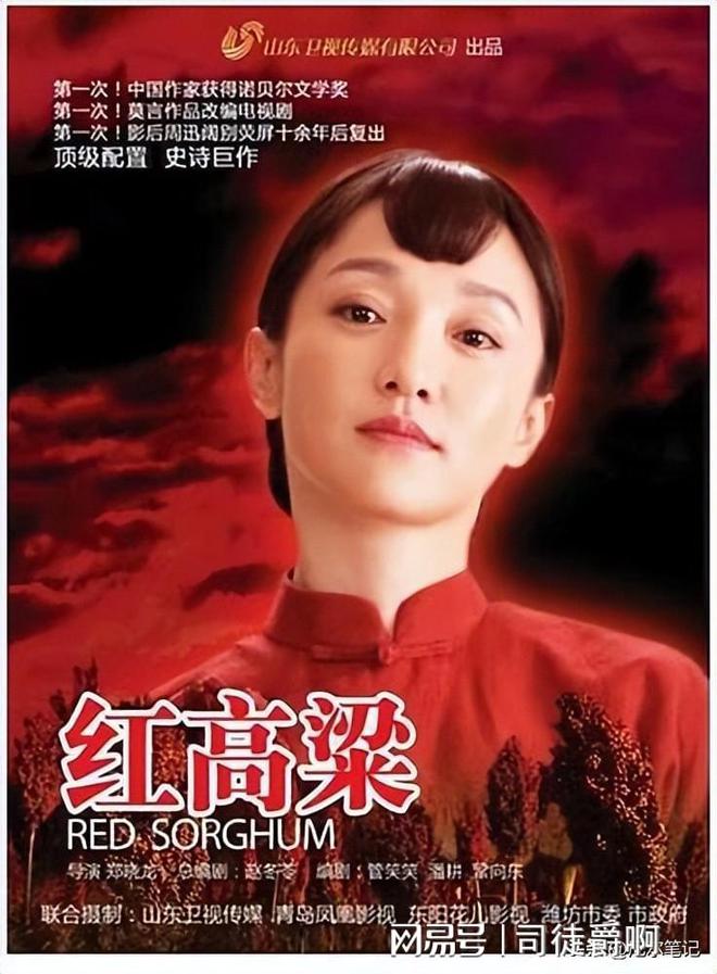 央视力荐！张艺谋的电视剧处女作全员演技派又有新剧可追了(图13)