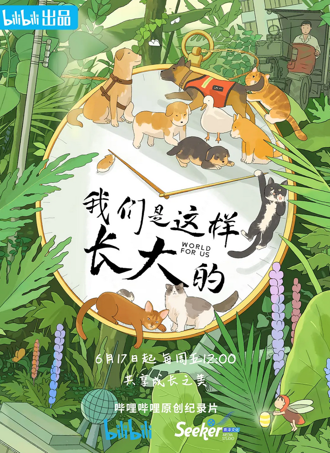 九游娱乐：最值得看的纪录片片单推荐（一）(图10)