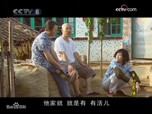 一部电视剧长达807集！盘点9部中国超长的电视剧(图2)