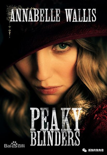 10部「2022完结」美剧人气榜！《西方极乐园》无缘第五季(图8)