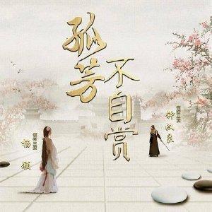 2017年好剧盘点大热ip剧依旧走俏！(图11)