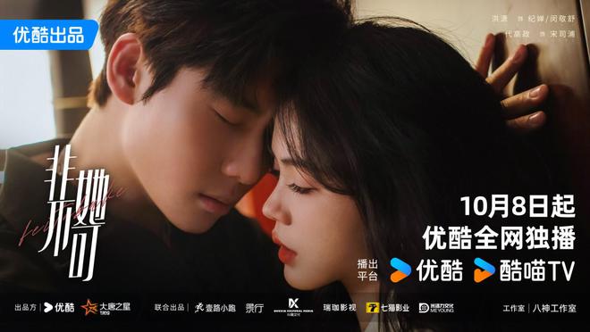 网剧《非她不可》开播洪潇代高政先杀后爱破镜重圆