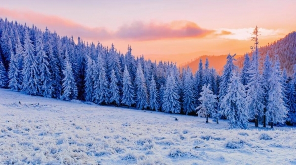 寒冬再临不仅不看电视消费者连电视剧都不看了？