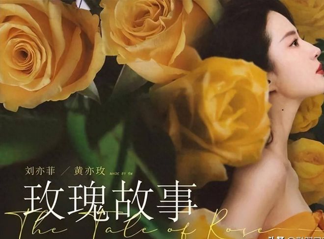 九游娱乐文化：2024暑期档电视剧热榜排行：《玫瑰》仅排第二《孤舟》未入前三