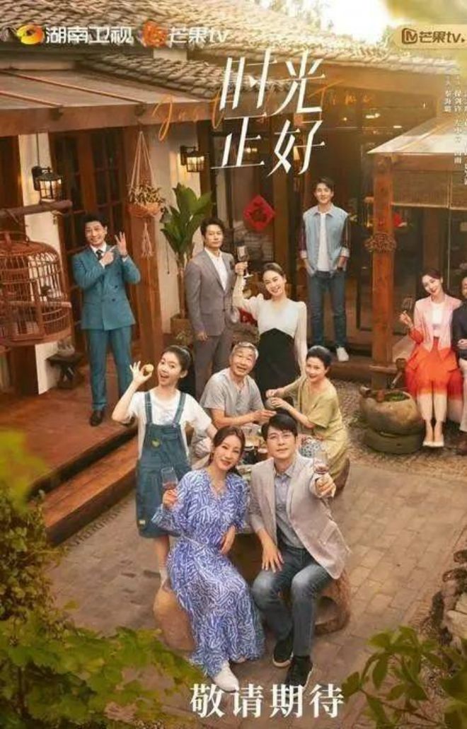 九游娱乐文化：2024暑期档电视剧热榜排行：《玫瑰》仅排第二《孤舟》未入前三(图8)
