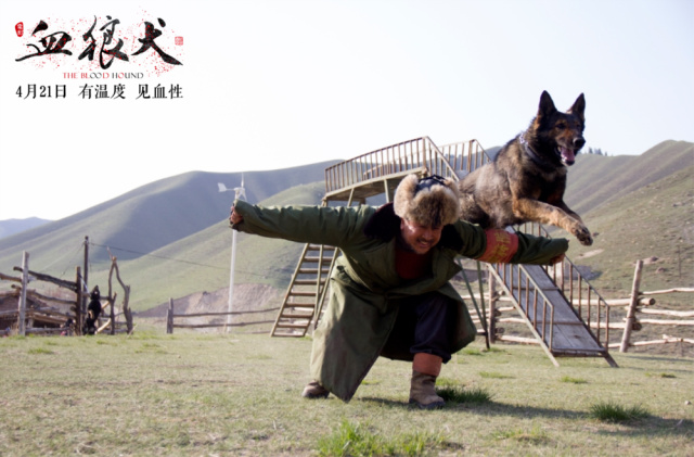 资讯属于中国人自己的动物电影《血狼犬》发布正式预告狂野西部上演人狗情缘