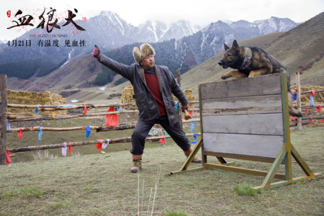 资讯属于中国人自己的动物电影《血狼犬》发布正式预告狂野西部上演人狗情缘(图3)