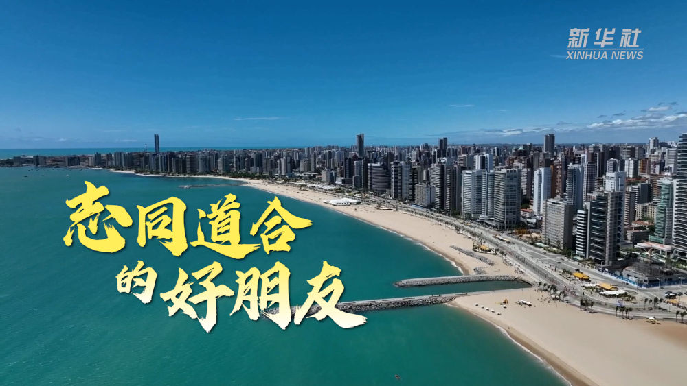 微｜志同道合的好朋友(图4)