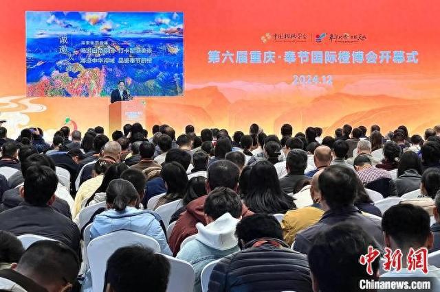 第六届重庆·奉节国际橙博会开幕奉节脐橙品牌价值3817亿元(图1)