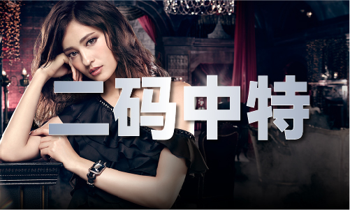 澳门4肖8特V