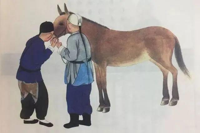 九游娱乐文化：111资讯广场：招聘求职、住宅商铺、二手供求、征婚交友、本地电话本等(图2)