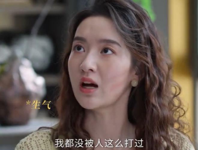 总局收视：《小巷人家》仅第六《我是刑警》挤进前三(图6)
