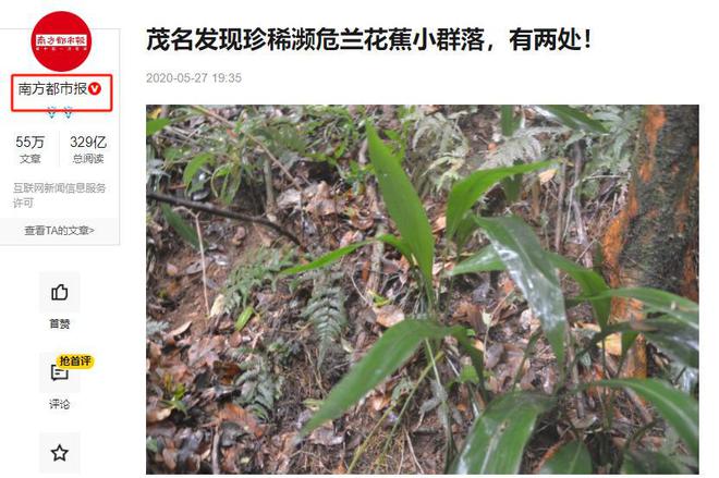 曾被认为已在广东灭绝2020年护林员发现2群网友：老家很多(图1)