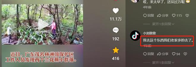 曾被认为已在广东灭绝2020年护林员发现2群网友：老家很多(图12)