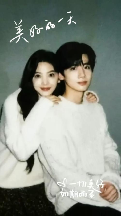 最新剧热度前5名白鹿《北上》第4檀健次《滤镜》第2第1意外(图8)