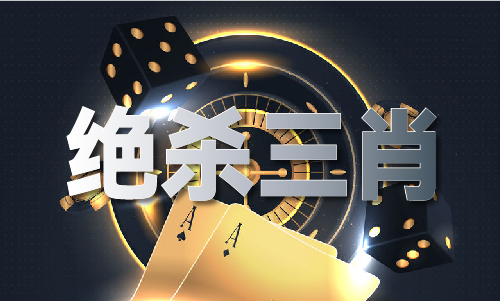 一码一肖王中王中特V41
