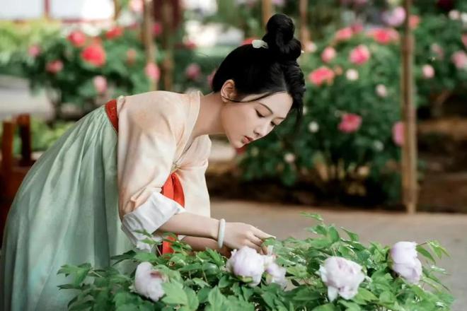 同是经商剧谭松韵《蜀锦人家》和杨紫《国色芳华》谁更胜一筹？(图2)
