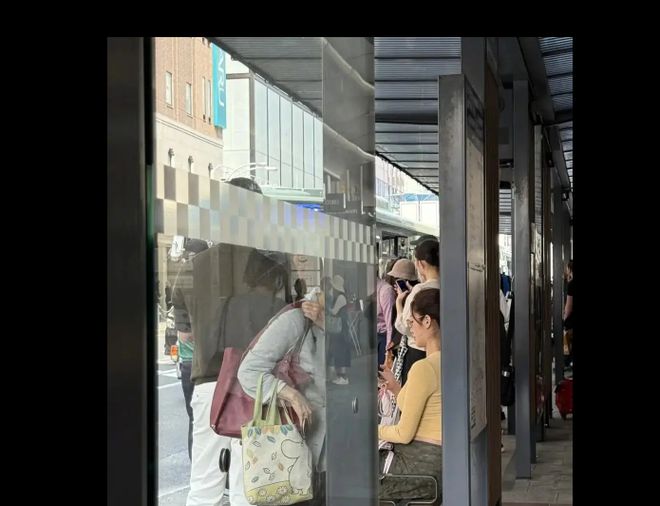 杨采钰与男友现身日本游玩边走边扶腰疑似怀孕很久！(图4)