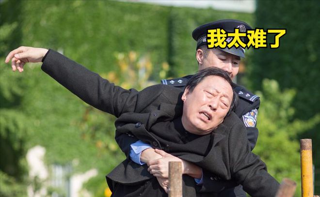 5部剧让90后集体破防！近十年国产家庭剧天花板苏大强只是开始(图13)