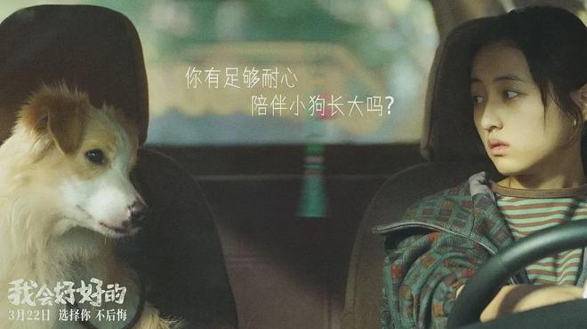 九游娱乐文化：这周真有大片要上了！(图9)