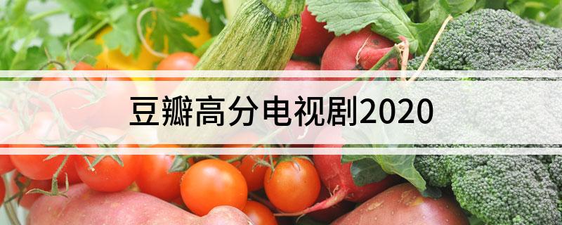 豆瓣高分电视剧2020