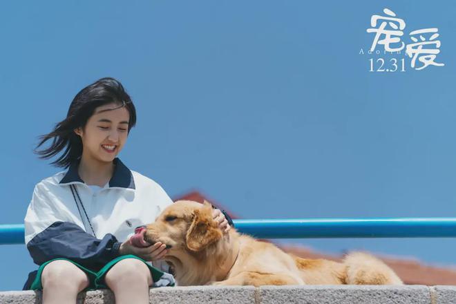 九游娱乐：影帝影后合作的催泪片却让人感动不起来？(图6)