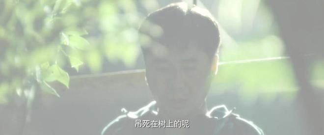 九游娱乐文化：开播怒冲飙升榜第一这是今年唯一一部让我熬夜狂追的国产刑侦剧(图5)