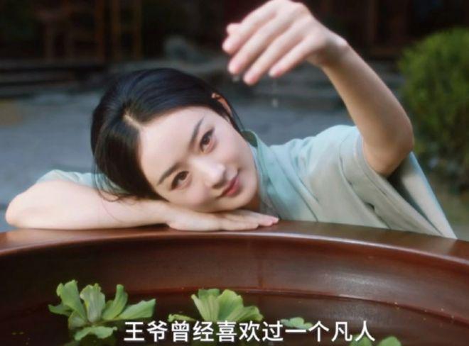 2024年度热剧榜：偶像剧仍占半边天权谋悬疑有市场？你追过哪部(图4)