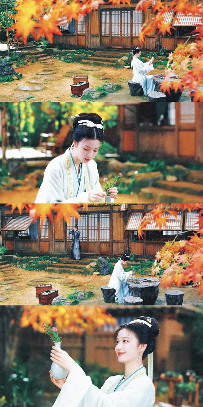 2024年度热剧榜：偶像剧仍占半边天权谋悬疑有市场？你追过哪部(图15)