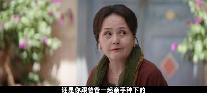 CCTV1新剧《红石榴餐厅》首播连看2集我要说：央视这回又押对了(图24)