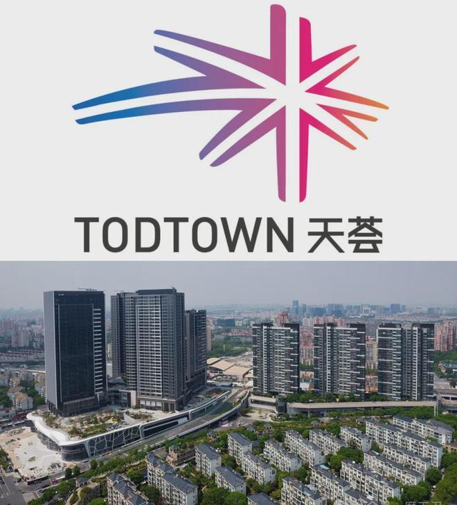闵行莘庄地铁口TODTOWN天荟悦麟「整栋纯居住大平层公寓」(图3)