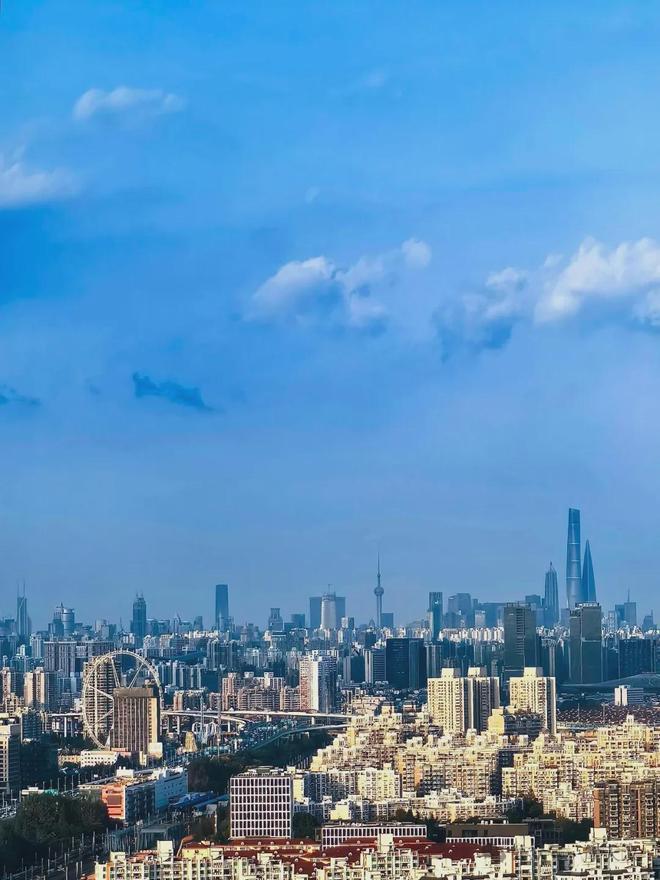 闵行莘庄地铁口TODTOWN天荟悦麟「整栋纯居住大平层公寓」(图8)