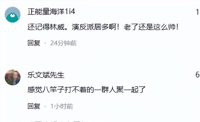 张嘉译深圳聚餐71岁林威烟不离手翁虹丰腴吸睛午马遗孀现身(图17)