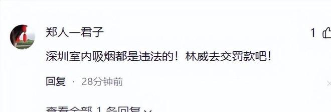 张嘉译深圳聚餐71岁林威烟不离手翁虹丰腴吸睛午马遗孀现身(图16)