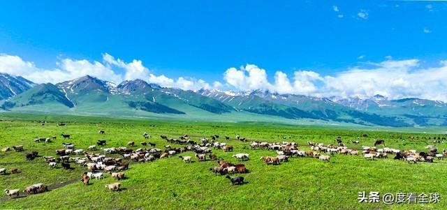 跟着IP去旅行！这些被影视游戏带火的城市现在去还来得及吗？(图11)