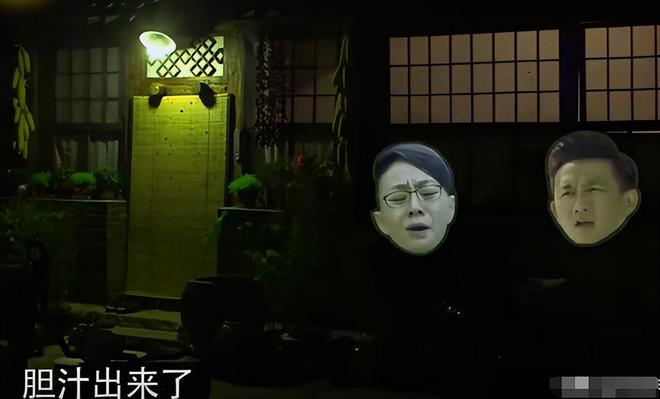 2024年“人设崩塌”的7位艺人花式翻车没有一个值得原谅(图17)