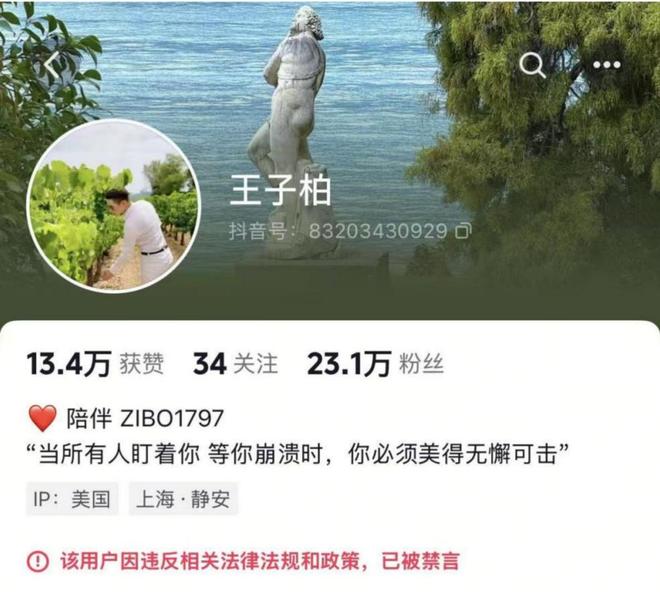 人民日报14字锐评劣迹网红复出言辞犀利给娱乐圈明星提了个醒(图6)