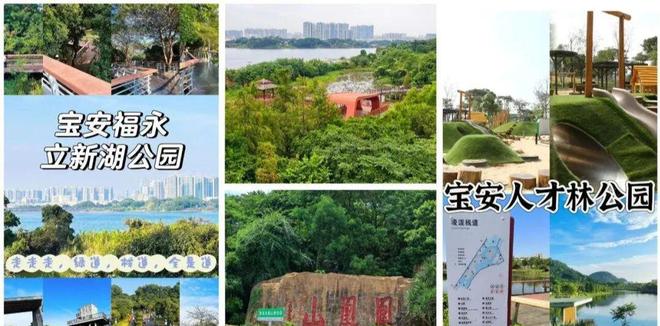 宝安福永凤凰山【君成世界湾·景星公馆C座】单价2万起㎡(图3)